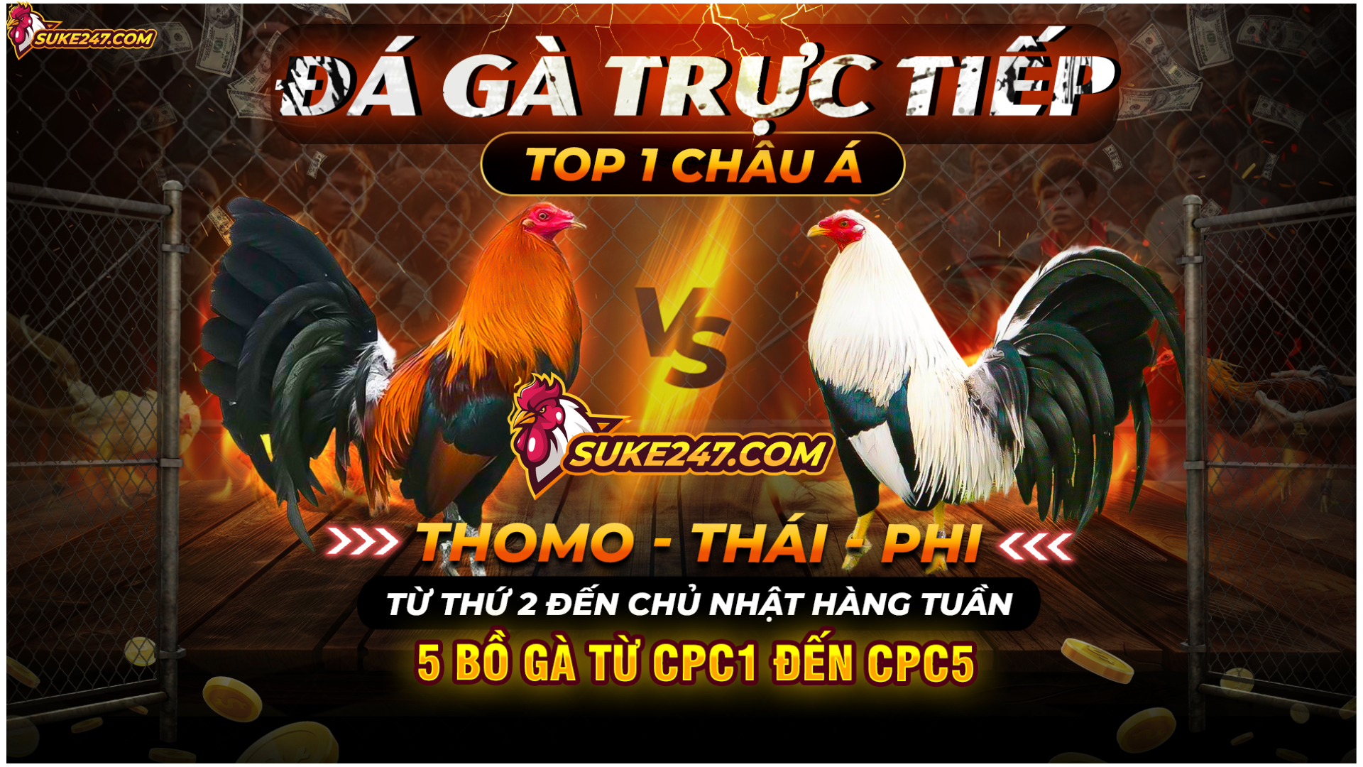HÌNH NỀN (2)
